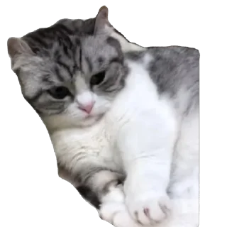 🫥