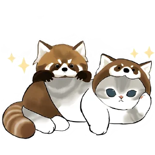 🦝