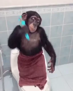 🚿