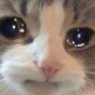 😭
