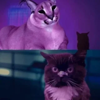 😎