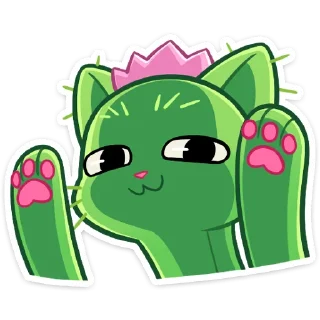🐾