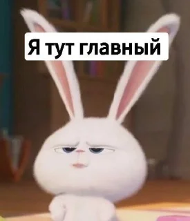 🤓