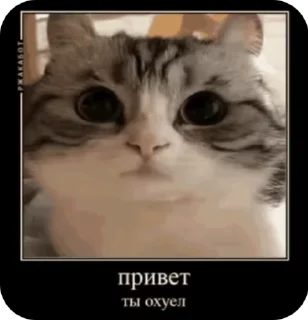 😠