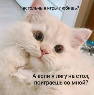 ❤️