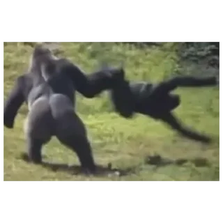 😠