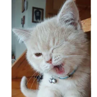 😏