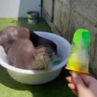 🍧