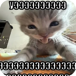 👍