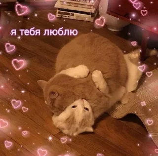 ❤️