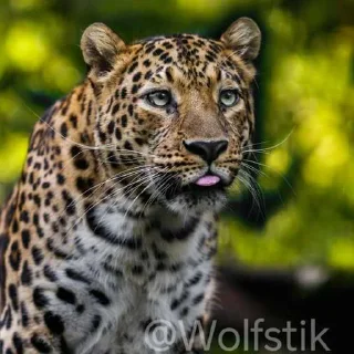 😛