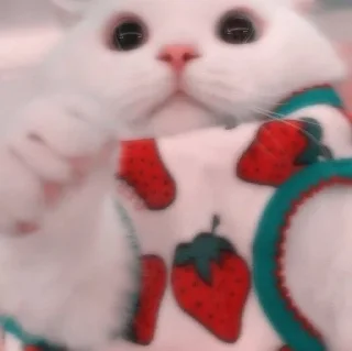 😋