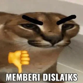 👎