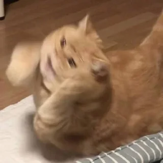😱