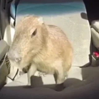 🚗