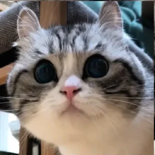 😖