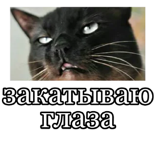 🙄