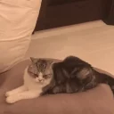 🙄
