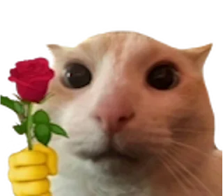 🌹