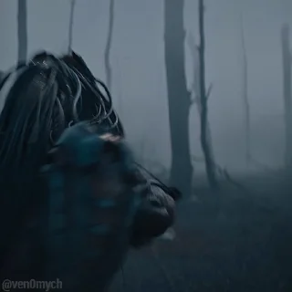 🛡