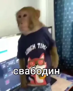 🤚