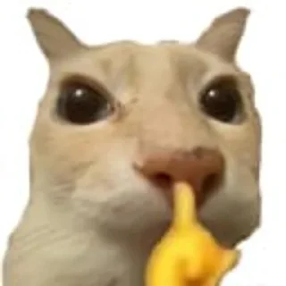 🤫