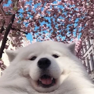 😊