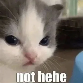 🙁