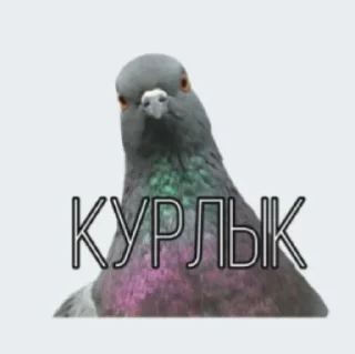 😌