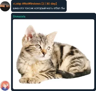🤔