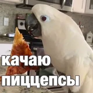 😋