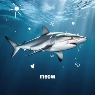 🦈
