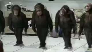 🐵