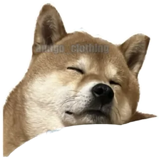 😴