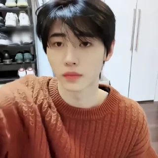 ࣺ sunghoon (( @STCKDL ) :: @fStikBot