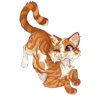 🐱