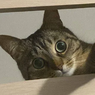 🙂