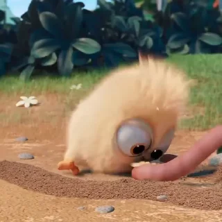 🐣