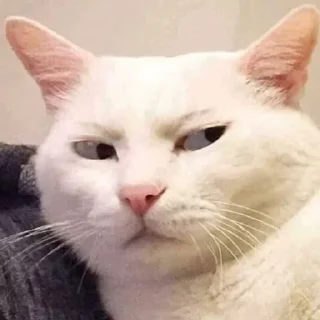 😒