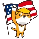 🇺🇸