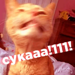 😡