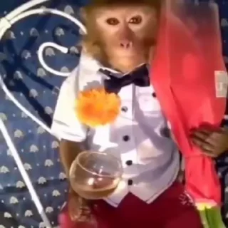 🥀