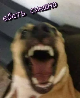 😂