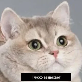 🫥