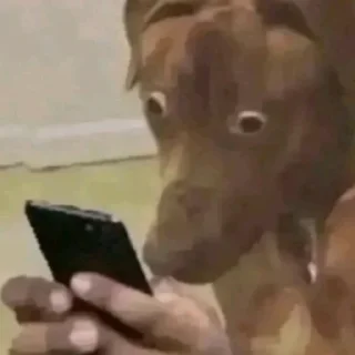 🤍