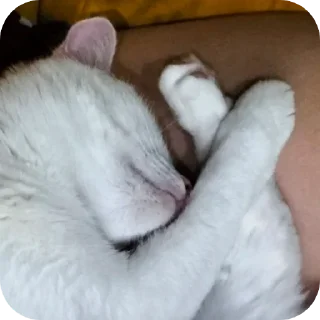 ❤