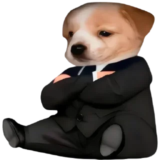 🤑