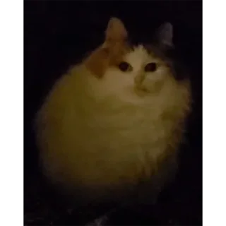 😐