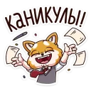 🎉