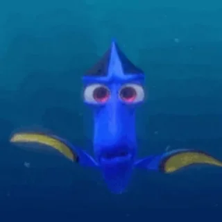 Nemo @stickersb2b